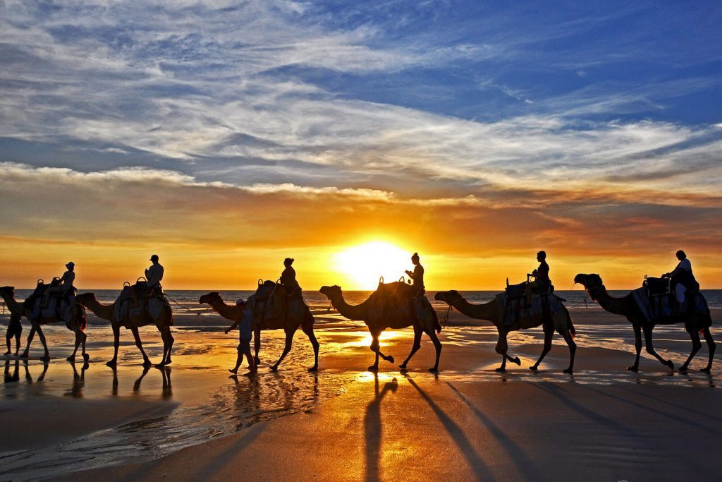 Camels on Cable Beach Broome
