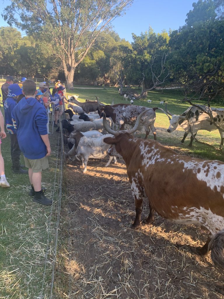 David _Williams _IMG_9006