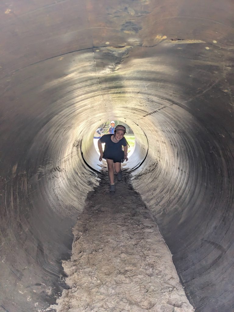 PXL_20260414_055616839