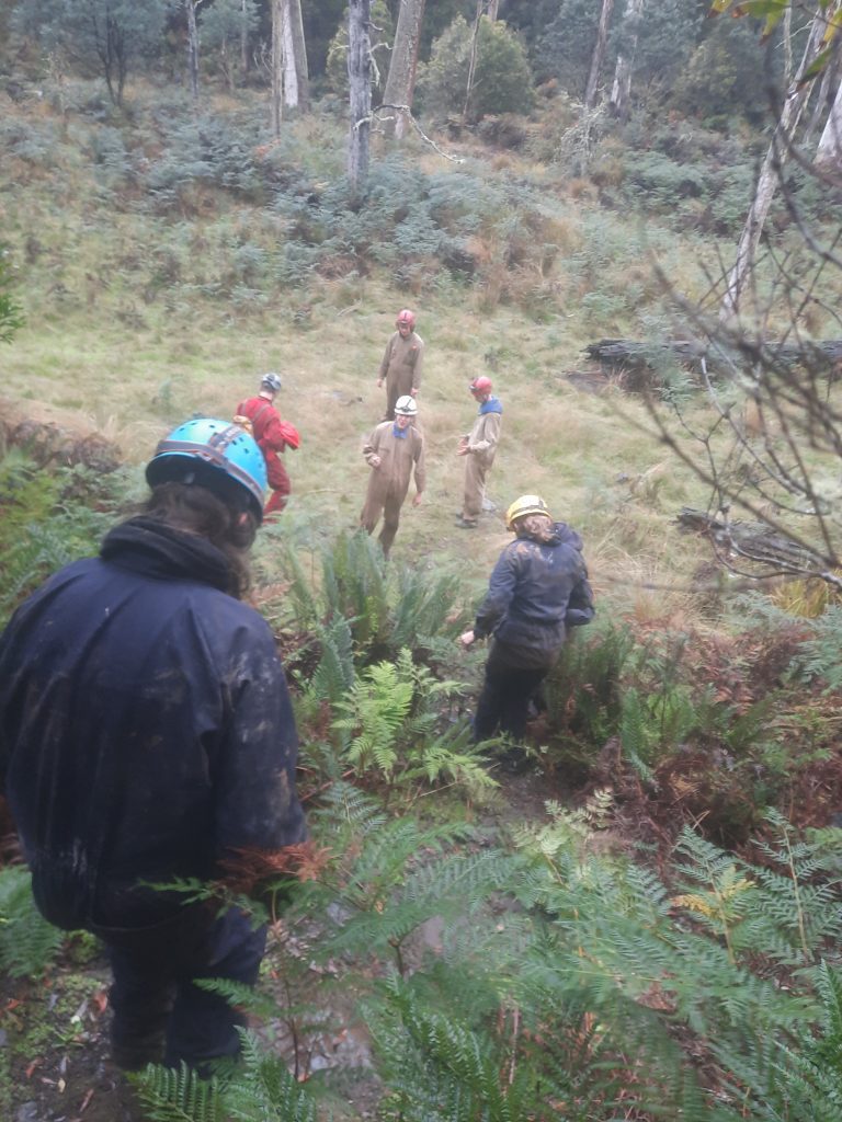 Tassie _Discovered _20260411_164502